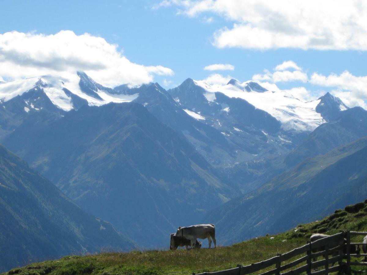 Ferienwohnung Haus Gamskogl Neustift im Stubaital Exterior foto