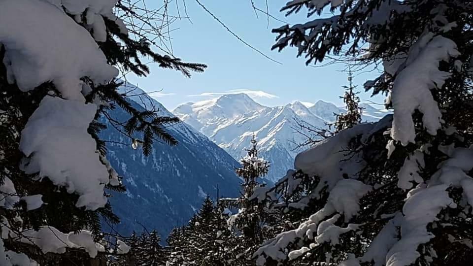 Ferienwohnung Haus Gamskogl Neustift im Stubaital Exterior foto