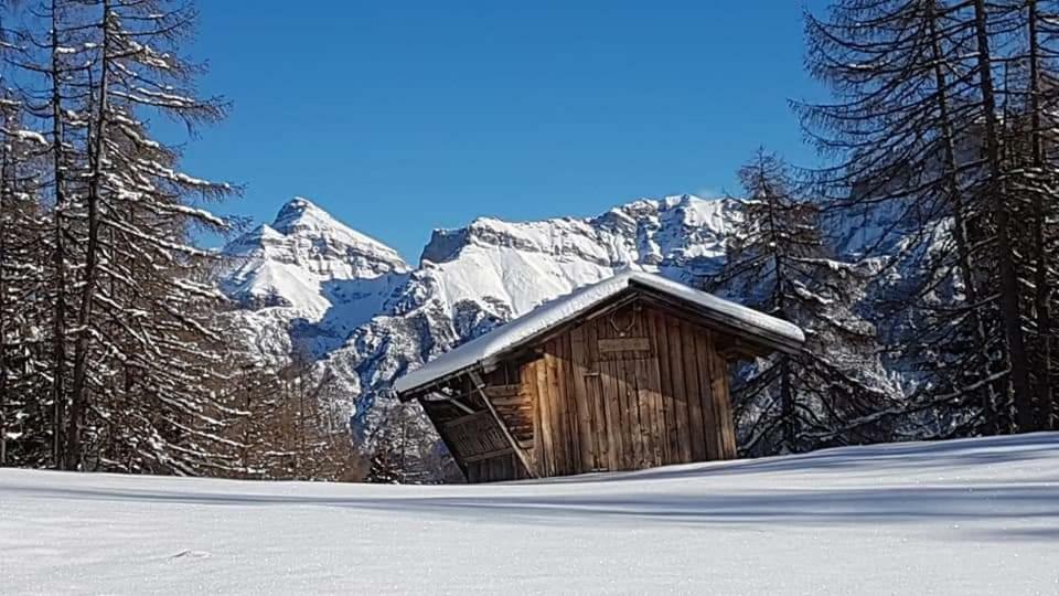Ferienwohnung Haus Gamskogl Neustift im Stubaital Exterior foto